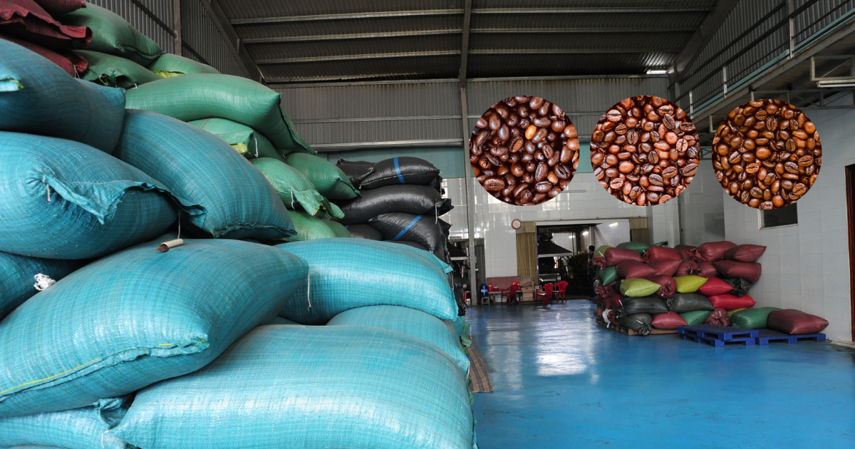 6 lợi ích đặc biệt chỉ có trong Chào Xuân 101