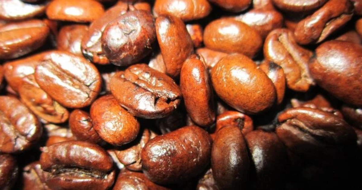 Đặc điểm nổi bật cà phê Moka