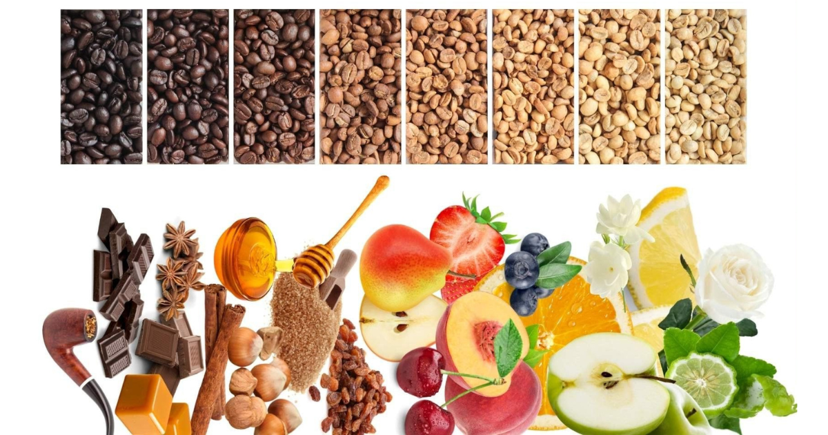Độ rang ảnh hưởng hậu vị của cà phê như thế nào?