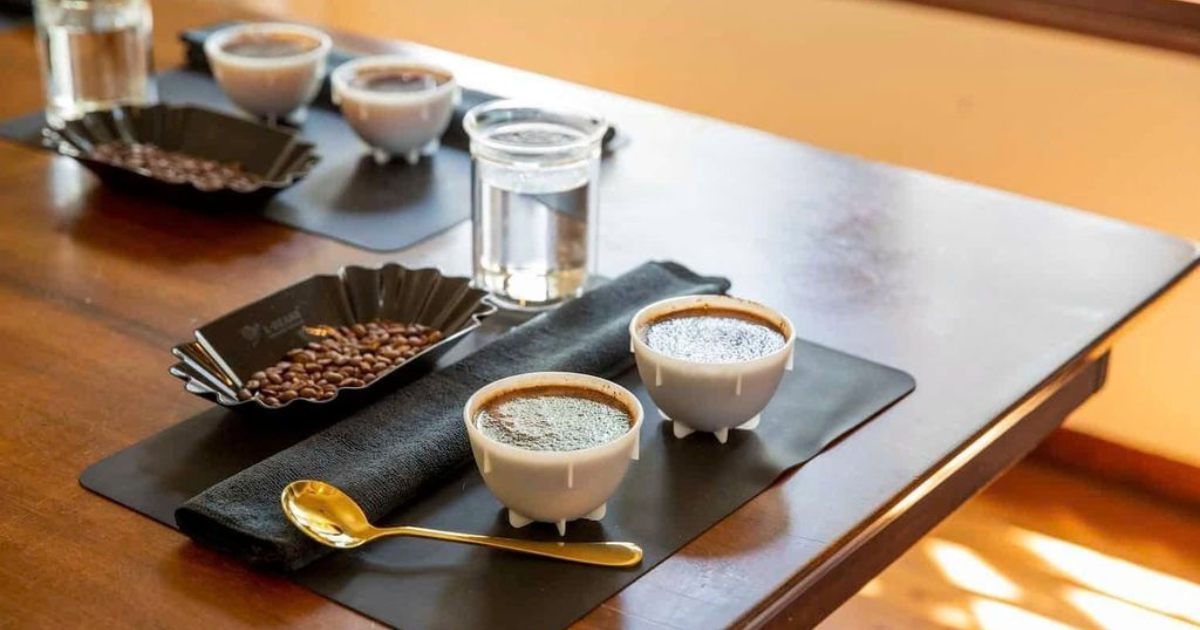 Chuẩn bị dụng cụ cho quy trình Cupping cà phê theo tiêu chuẩn SCA