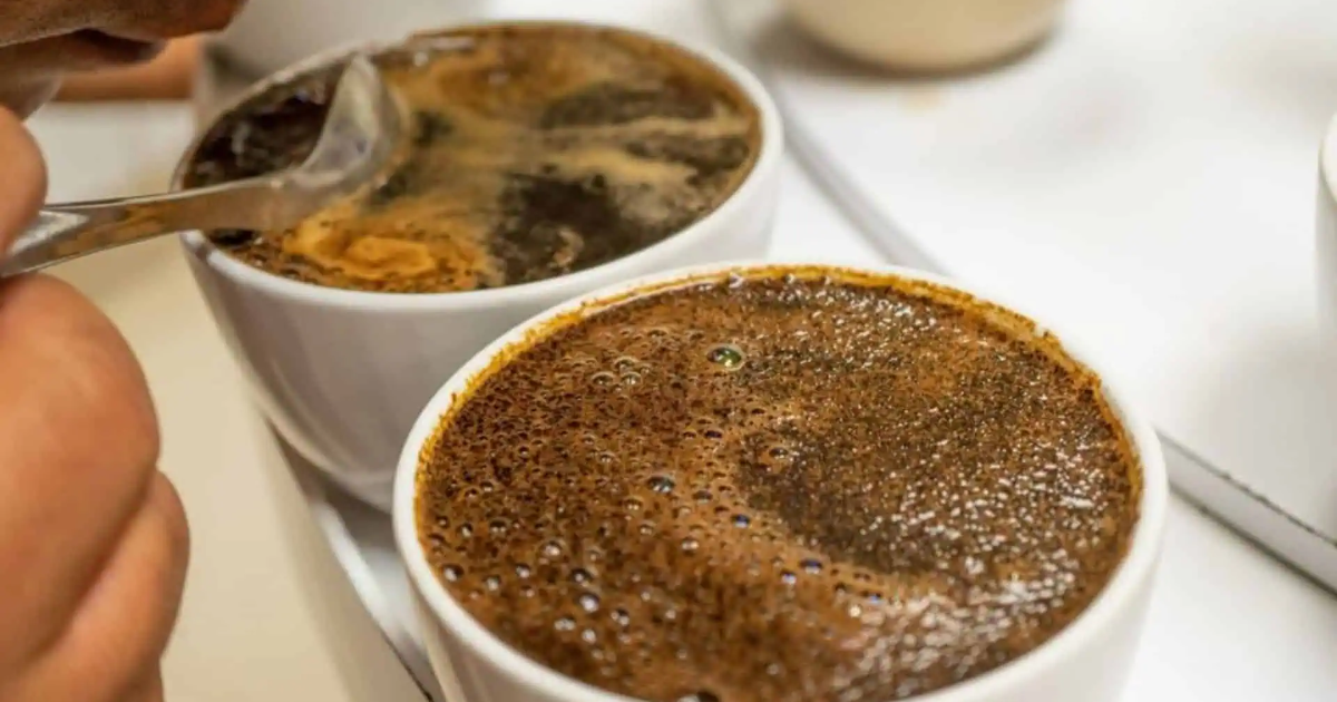 Quy trình Cupping cà phê chuẩn SCA từng bước