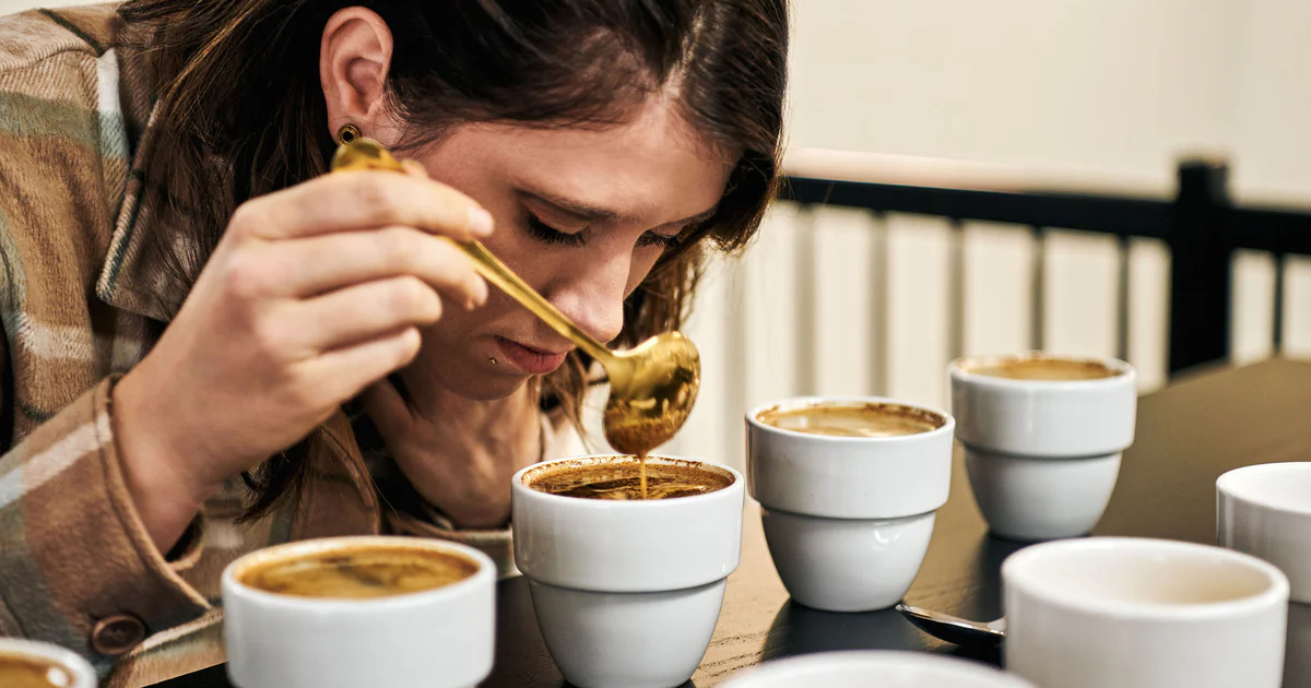 Cupping chuẩn SCA là gì và vì sao quan trọng trong đánh giá chất lượng cà phê?