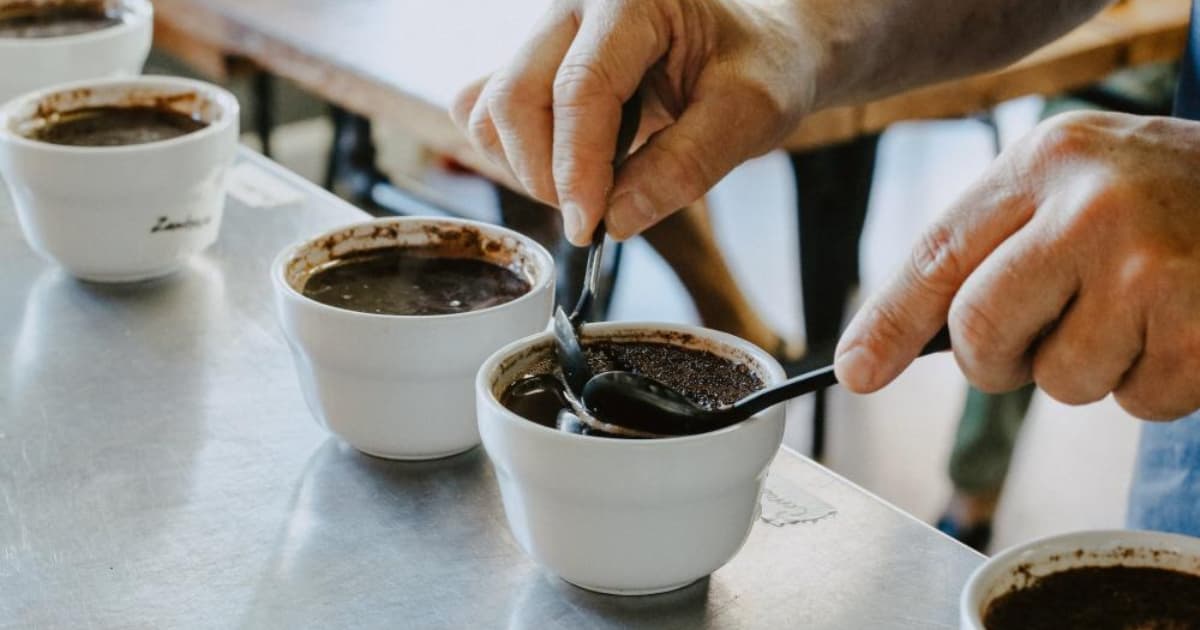 Hướng dẫn quy trình thử nếm cảm quan cà phê Cupping chuẩn SCA