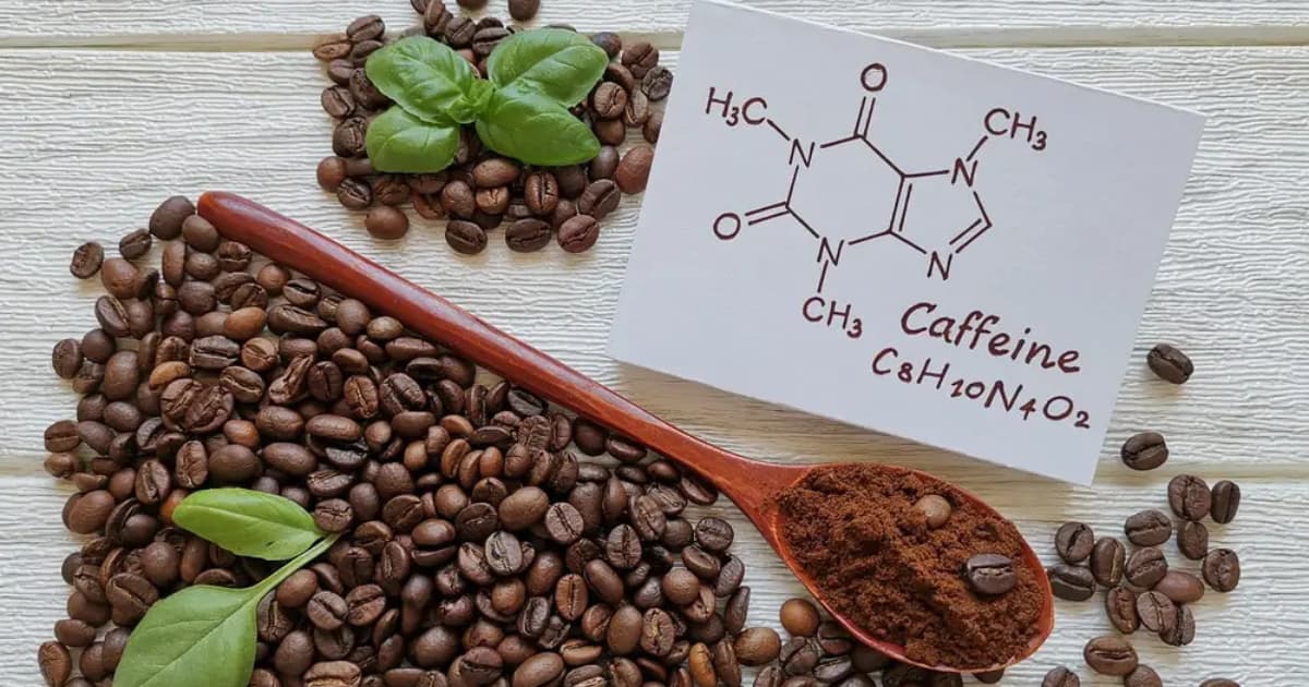 Điều gì tạo nên vị đắng đặc trưng của cà phê?