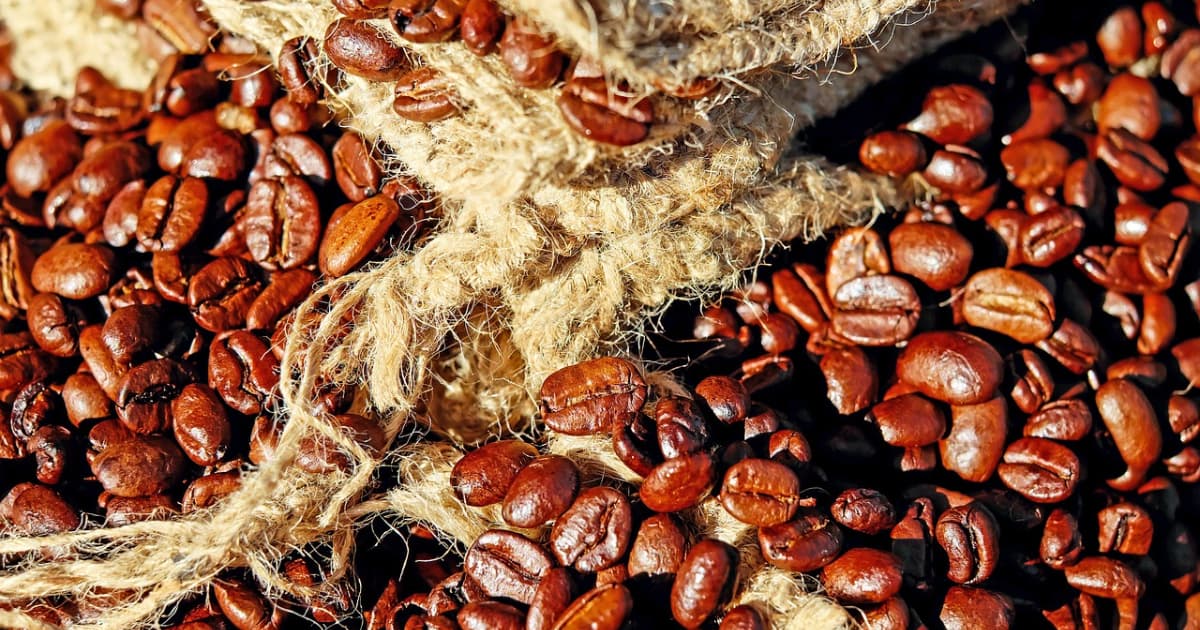 Xu hướng lên men dịch quả Mosto trong chế biến cà phê đặc sản