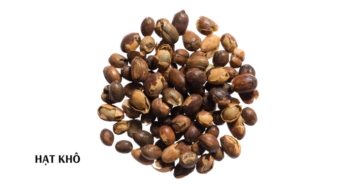Phát Thành Coffee