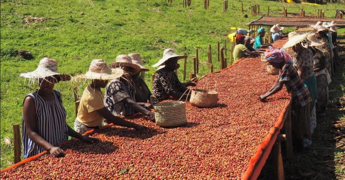 Phát Thành Coffee